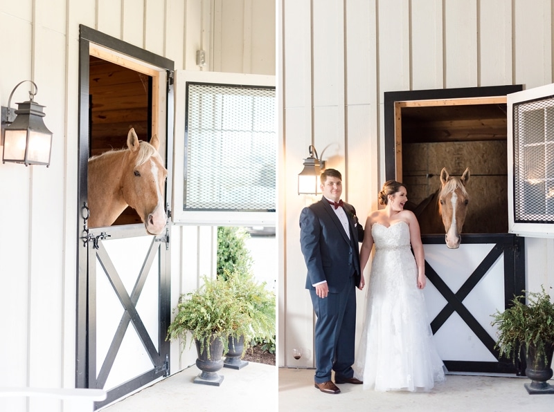 Bride and groom with Gus the horse at Shadow Creek Weddings and Events