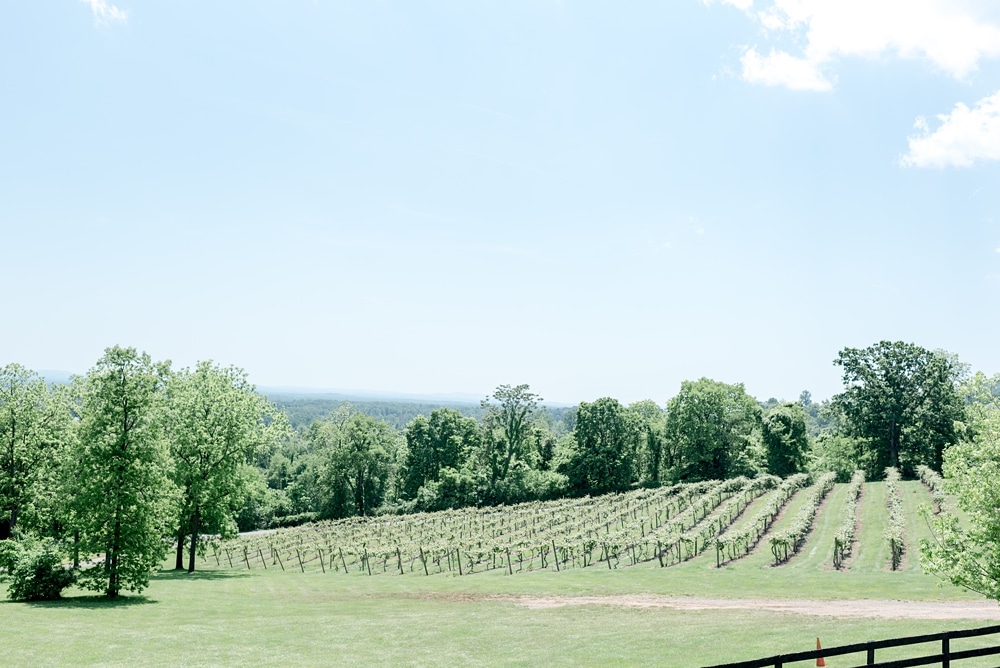 The grounds at Bluemont Vineyard and Winery