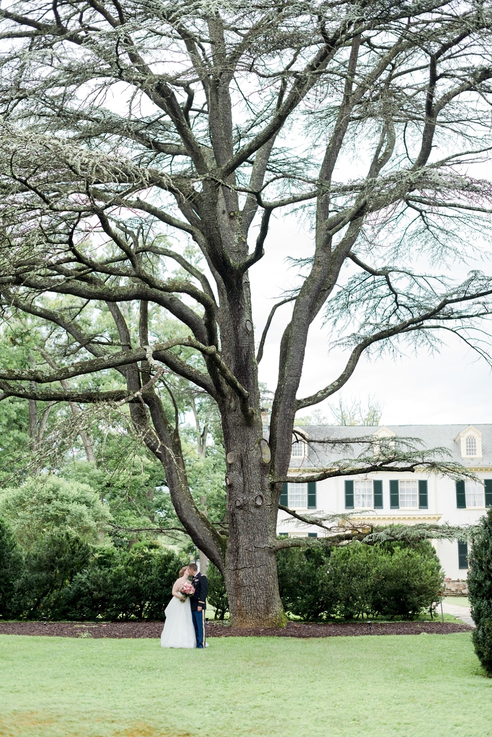 Bride and groom by mature tree at Rust Manor House wedding in Leesburg VA