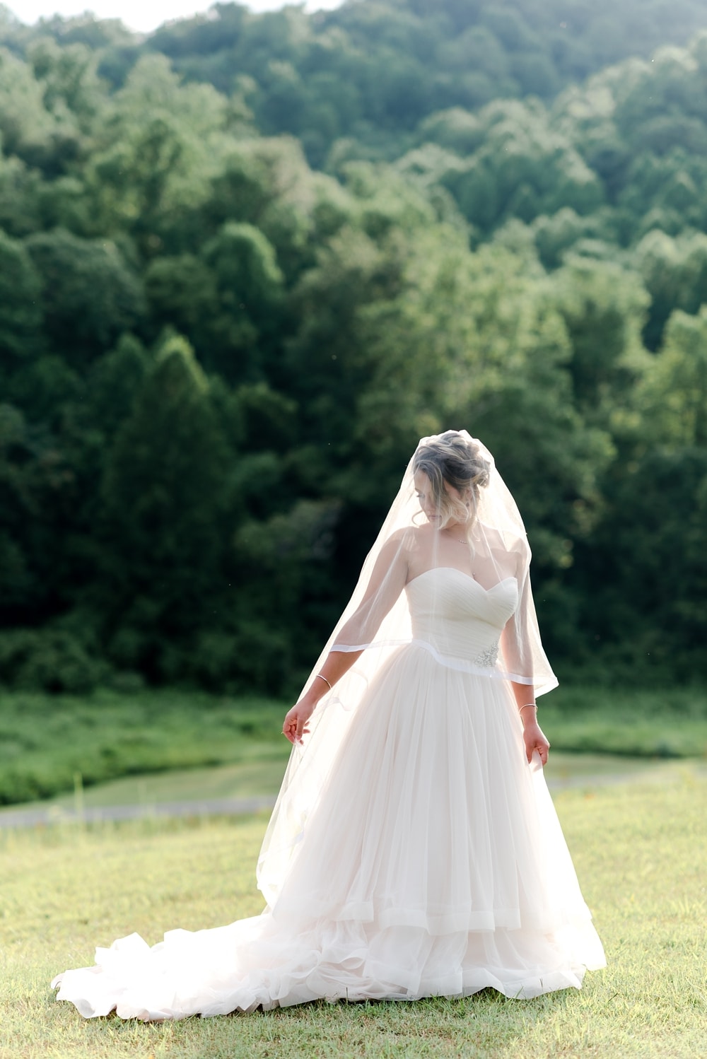 Bride backlit from sun at DelFosse Vineyards and Winery near Charlottesville VA
