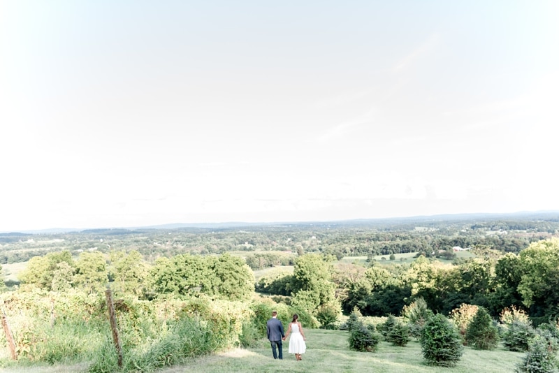 Engaged couple walking away at Bluemont Vineyard engagement session by Wolfcrest Photography