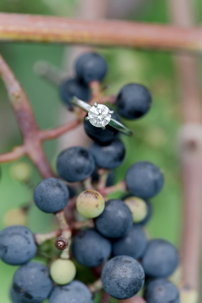 Engagement ring macro shot on grapes at Virginia winery