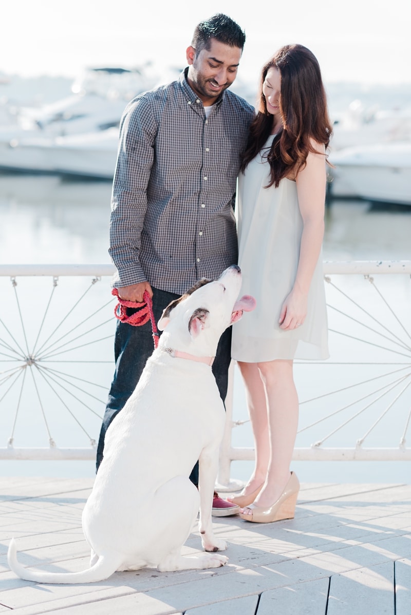 Engagement session photos with dog on Virginia boat docks