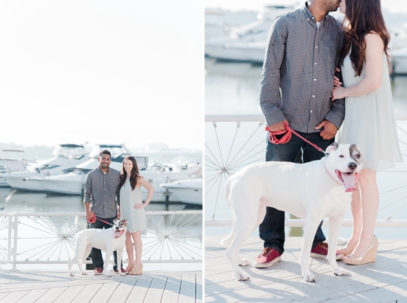 Old Town Alexandria engagement session photos with their dog