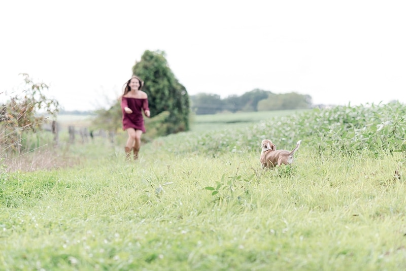 Dog running in field in Fredericksburg VA 