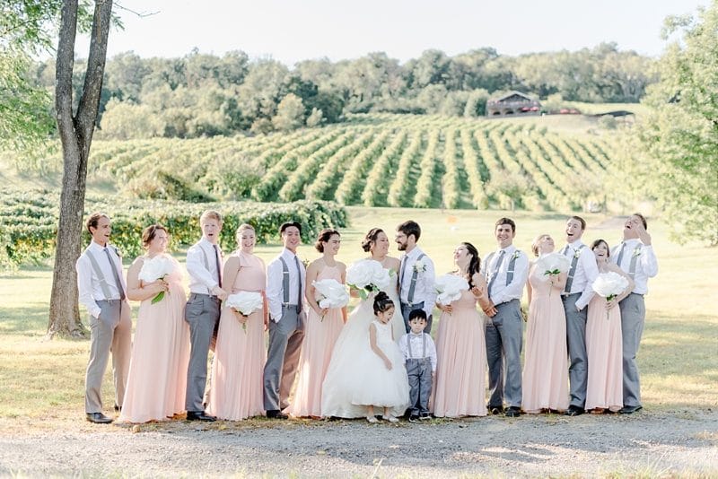 Bridal party at Bluemont Vineyards wedding in Virginia
