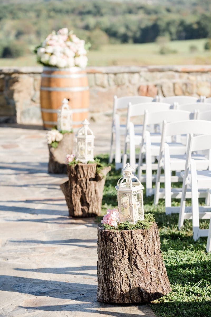 Bluemont Vineyards rustic wedding stumps ceremony details